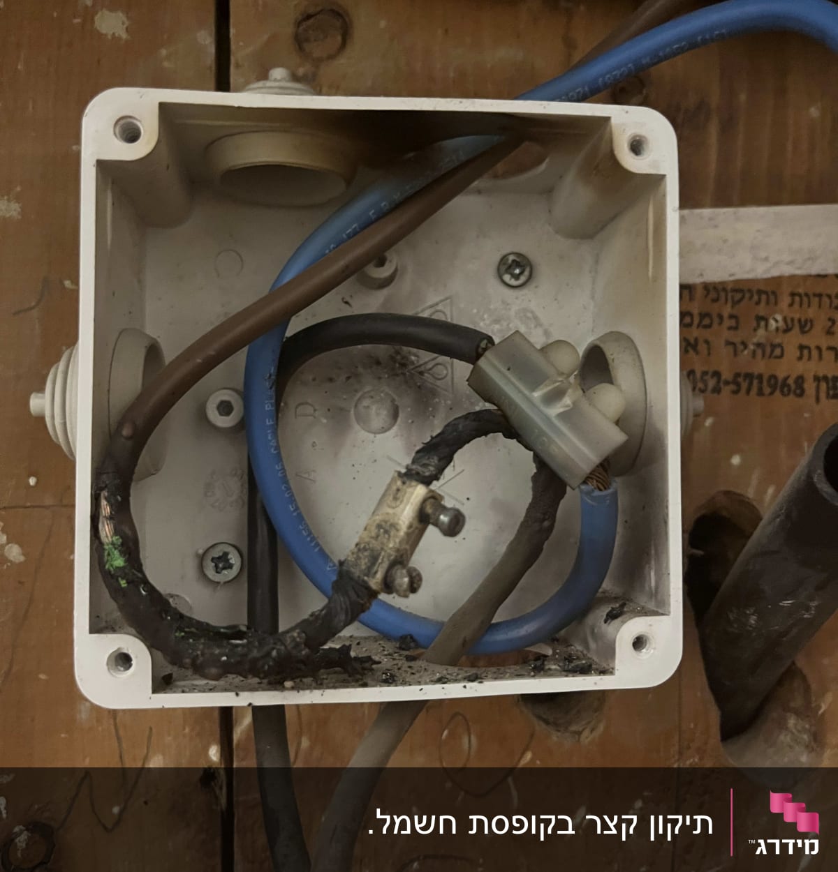 תיבת חיבורים חשמלית עם חוטים חומים וכחולים